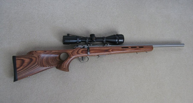 The Best Scopes for 17 HMR in 2022