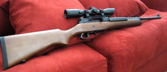 The Best Scopes for Mini 14 in 2021