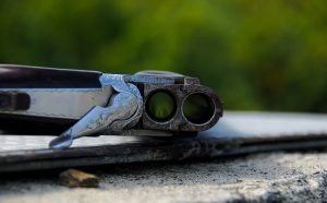 Grandview Outdoors / Predator Xtreme Giveaway