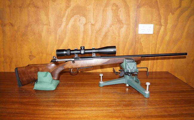 The Best Scopes for .204 Ruger in 2021