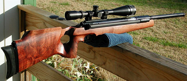 The Best Scopes for Air Rifles in 2021