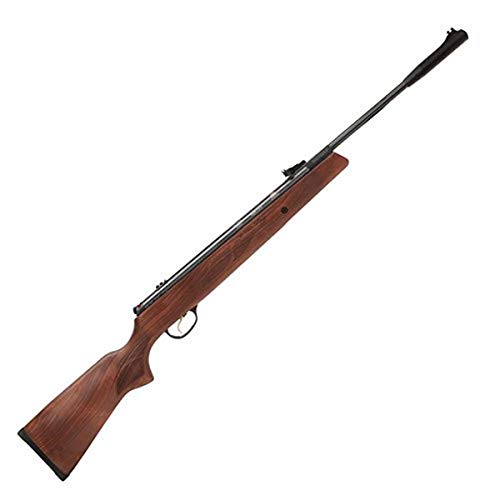 Hatsan Air Rifle